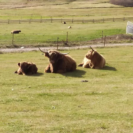 Alpesi faház Helena Loučná pod Klínovcem