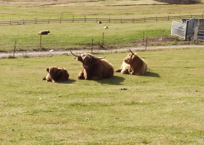 شاليه Helena Loučná pod Klínovcem